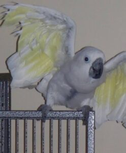 images (3)